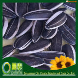 Raw Sunflower Seed (5009)