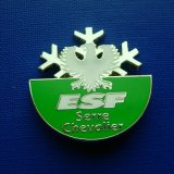Soft Enamel Lapel Pin Irregular Shape Badge (GZHY-SE-038)