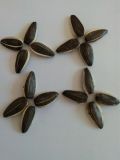 High Quality Sunflower Seeds 909 for Food Large Supplier