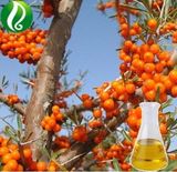 Sea Buckthorn Seed Oil