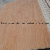 Commercial Plywood / Plywood Price / Plywood Sheet