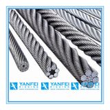 Galvanized Steel Wire Rope