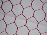 Hexagonal Wire Mesh