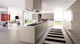 2013 Modern Style High Gloss Lacquer Kitchen Cabinet with Island Cabinet (SJK002)