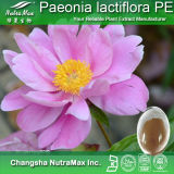Radix Paeoniae Rubra Extract 8%-20% Paeoniflorin for Personal Care