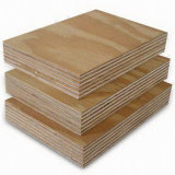 25mm High Quality Plywood/Film Faced Plywood