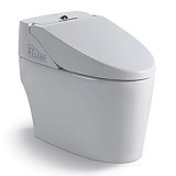 Sanitary Ware Ceramic Intelligent Toilet (YB0014)
