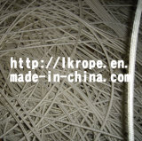 Amide/Kevlar Rope (Braided Rope) with Polyester Cover