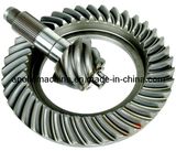 Spiral Bevel Gear