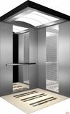 Passenger Lift / Passenger Elevator for Residential Building (V8)