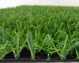 Grass Carpet for Decoration (D8309)