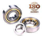 Angular Contact Ball Bearing (7000 7200 7300 series)