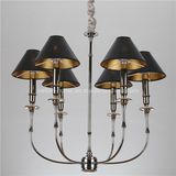 Aluminium Pendant Lamp Chandelier Lighting (SL2096-6)