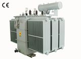 S11 Series 10kv Oil-Immersed Electric Power Transformer (S11-1000/10)