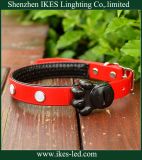 Flashing Safety Comfortable Pet Products Accessories LED Dog Collar (dog lead)