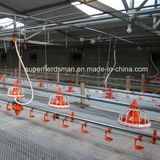 Whole Set Automatic Poultry Farming Equipment for Chicken