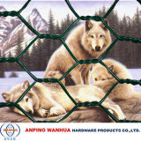 Animal Hexagonal Wire Netting (high quality)