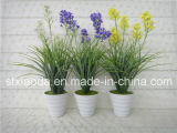 Artificial Plastic Potted Flower (XD15-310)
