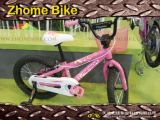 Bicycles/Kid Bike/Children Bike 12/14/16/20 Zh15kb01