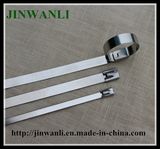 Naked 304 Grade Stainless Steel Cable Tie