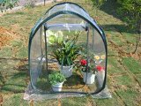 Folded Greenhouse