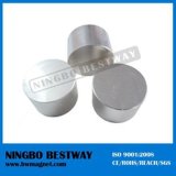 N42 Bulk Neodymium Magnets Wholesale