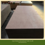 Plywood with Cherry Wood Veneer