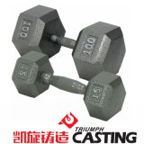 Cast Iron Champion Hex Dumbbell with Ergo Handle