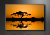 Sunset Canvas Prints Home Decoration Wall Painting