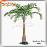 Ome Competitive Price Artificial Coconut Palm Tree (Fiber Glass)