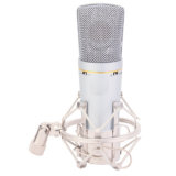 Microphone BM-100B