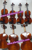 High-Quality, Handwork Copal Paint, Hand-Made Violin (AVL-011)