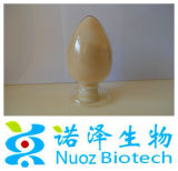 Ginseng Extract--Health Care Plant Extract/Nature Plant Ginseng Root Extract Powder