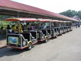 Amusement Park Equipment Trackless Train, Tourist Train for Sale