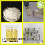 Top Quality 98.5% Purity 7-Keto-Dehydroepiandrosterone for Intermediates Pharmaceutical Raw Material