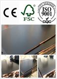 WBP Poplar Core Film Faced Plywood 21*1250*2500mm