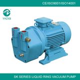 Single Stage Vacuum Pump