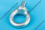 Lifting Eye Bolt and Nut