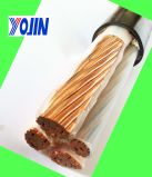 Power Cable (AL/XLPE//PVC  /CU/PVC/PVC CU/XLPE/XLPE)