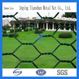 High Quality Hexagonal Wire Mesh (factory)