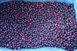 Health Benefits Frozen Wild Blueberries