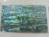 Abalone /Puau Shell Paper for Art