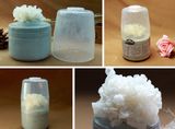 Tremella Spawn