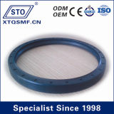 Sto Brand Rubber Oil Seal / Truck Spare Part