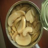 Canned Mushroom P&S