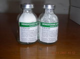 Benzathine Penicillin For Injection