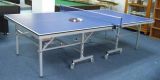 Table Tennis (LSG1)