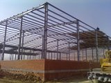 Steel Workshop/Steel Structure Building (SS-124)