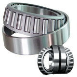 Cylindrical Roller Bearing (SL045005PP) Large Stock Bearing
