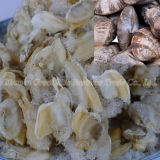Delicious Individual Quick Frozen Clam Meat for Cooking Dishes